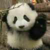 Ӣ